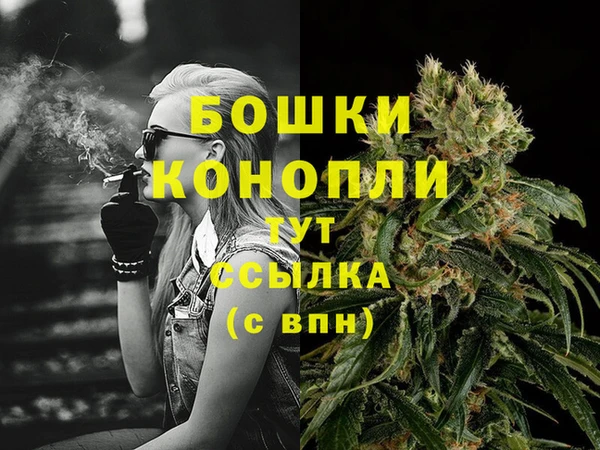 круглые Вяземский
