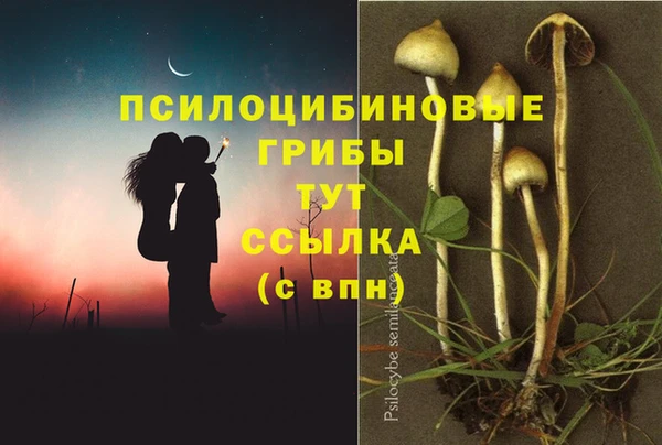 МДМА Верея