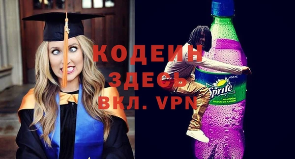 МДПВ Бородино