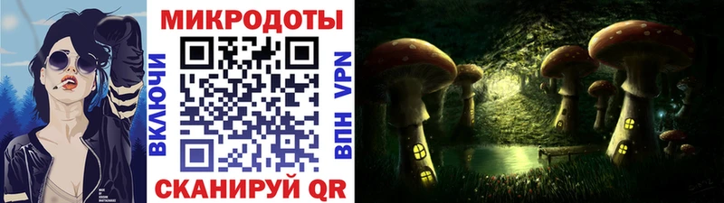 Псилоцибиновые грибы мухоморы  гидра как войти  сайты даркнета какой сайт  Ельня 